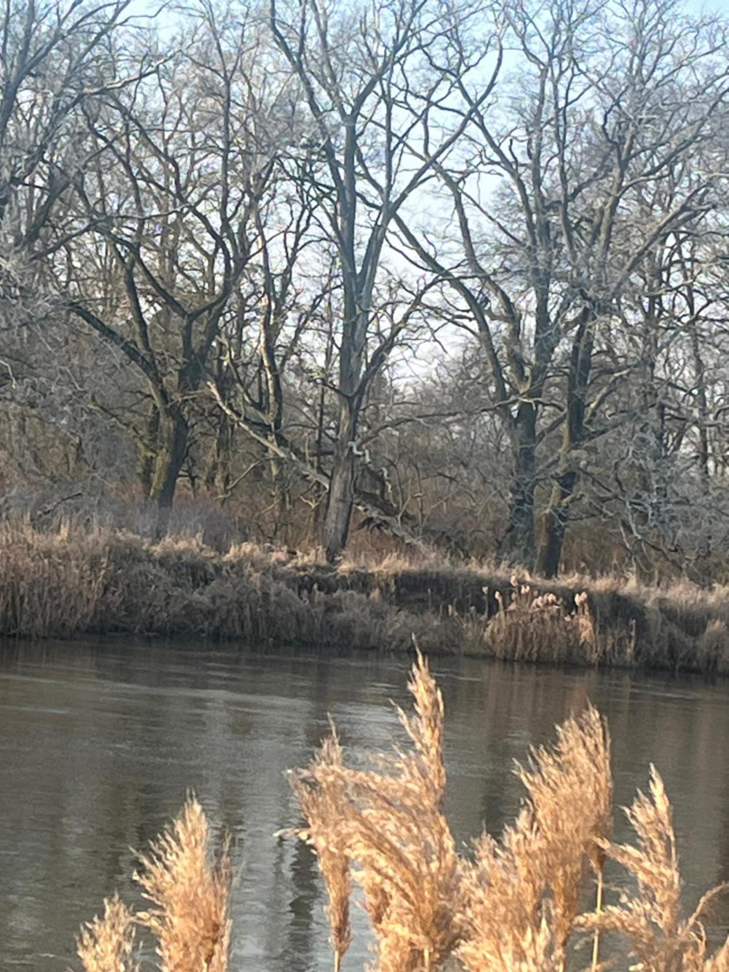 Dworek Biesiadny Radzewice Exteriér fotografie